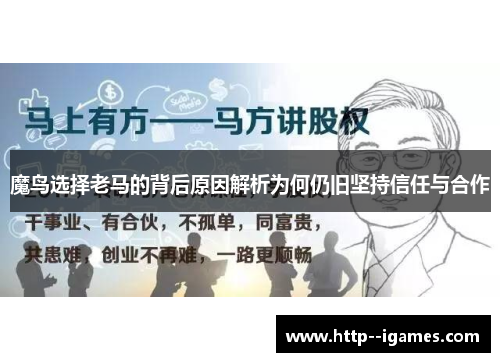 魔鸟选择老马的背后原因解析为何仍旧坚持信任与合作 魔鸟选择老马的背后原因解析为何仍旧坚持信任与合作