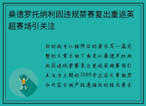 桑德罗托纳利因违规禁赛复出重返英超赛场引关注 桑德罗托纳利因违规禁赛复出重返英超赛场引关注